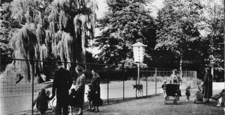 Wandeling Julianapark - oude foto - KD 80.004